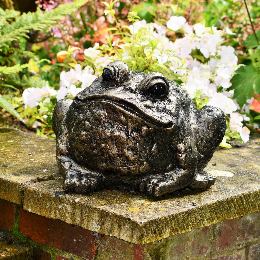 bull frog garden planter