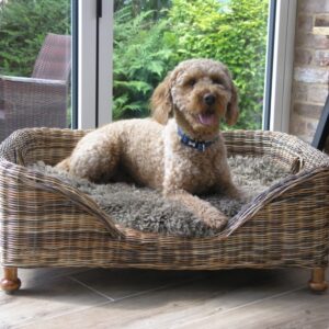 The Charles Pet Bed | Kettle