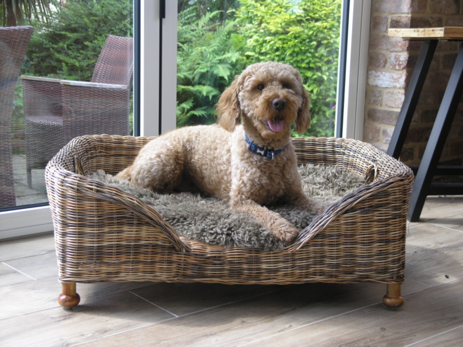 The Charles Pet Bed | Kettle