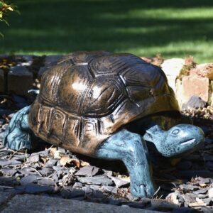Small Tortoise Painted