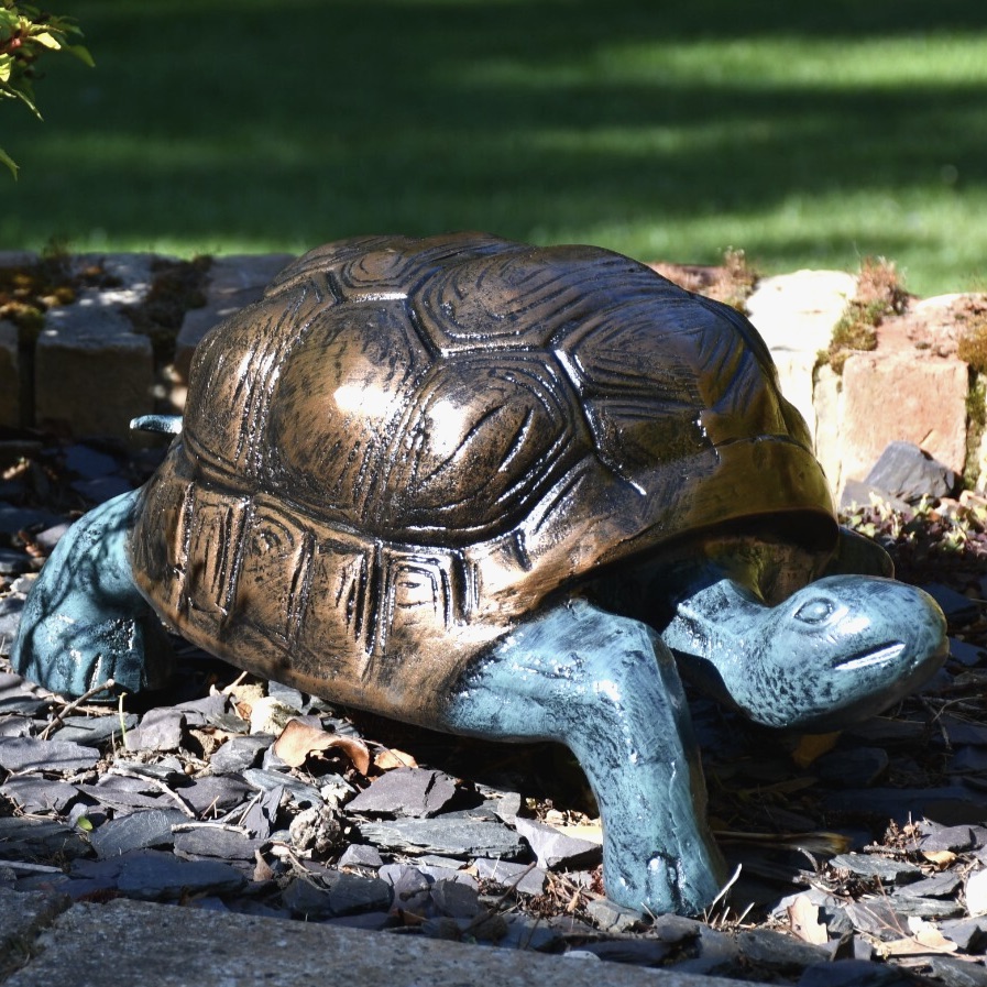 Small Tortoise Painted