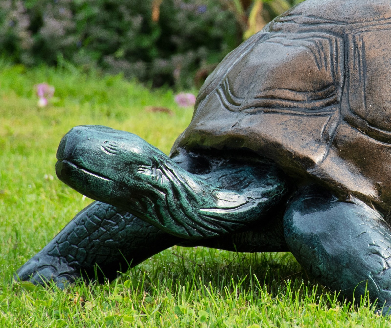 Small Tortoise Painted - Image 2