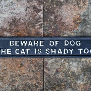 Shady Cat