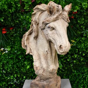 Horse Head