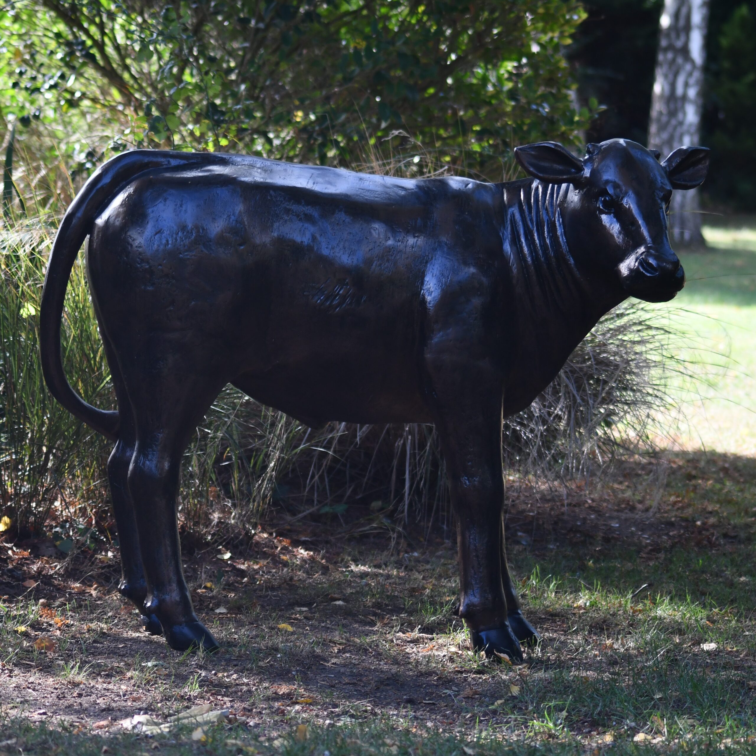 Baby Cow