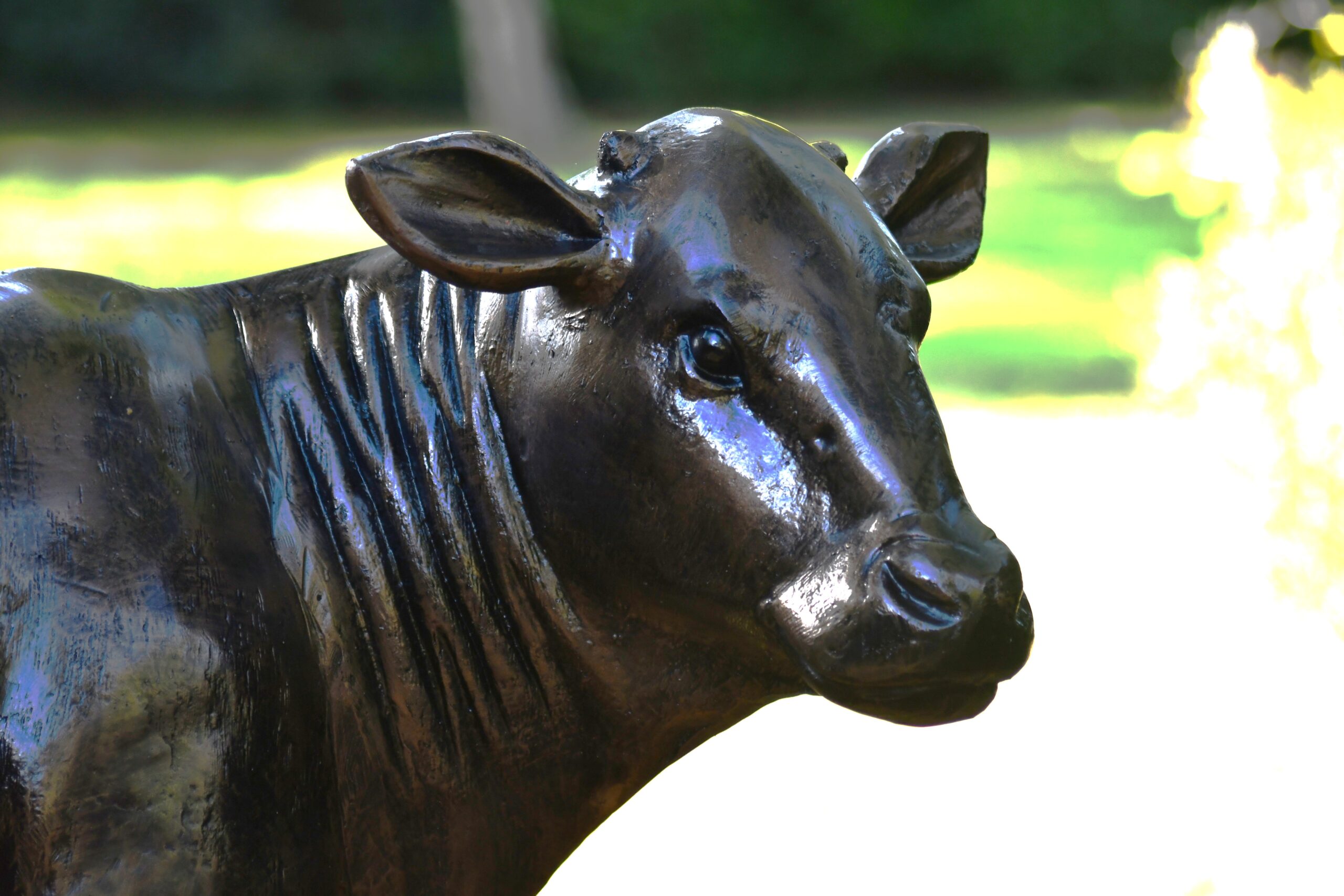 Baby Cow - Image 3
