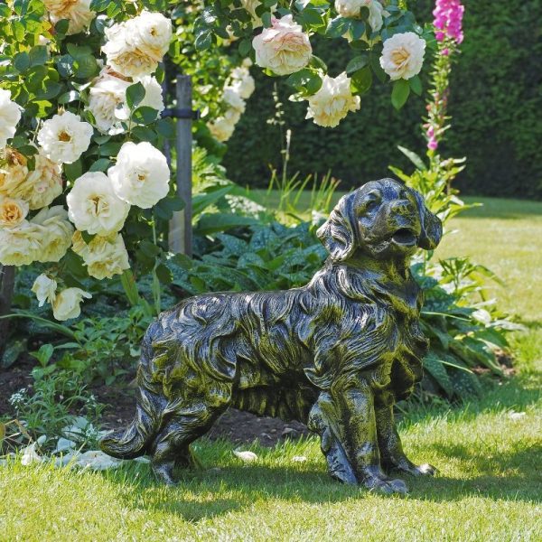 imgi_70_main-image-for-pets